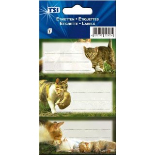TSI Schulbuchetiketten Katzen 3 x 3 Stück