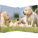 HERMA Ringbuch "Animals" - Hunde, DIN A4, 2-Ring