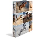 HERMA Ringbuch "Animals" - Pferde, DIN A4, 2-Ring