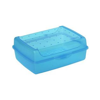 keeeper Brotdose "luca", Click-Box Midi, blau-transparent