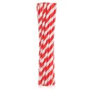 ECO Papierstrohhalme 12er Set red Stripes